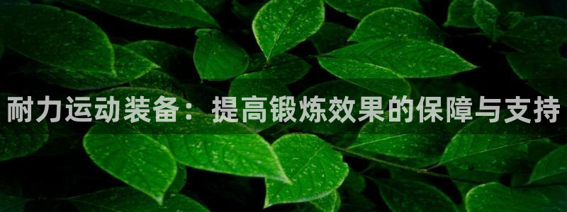 k1体育平台下载