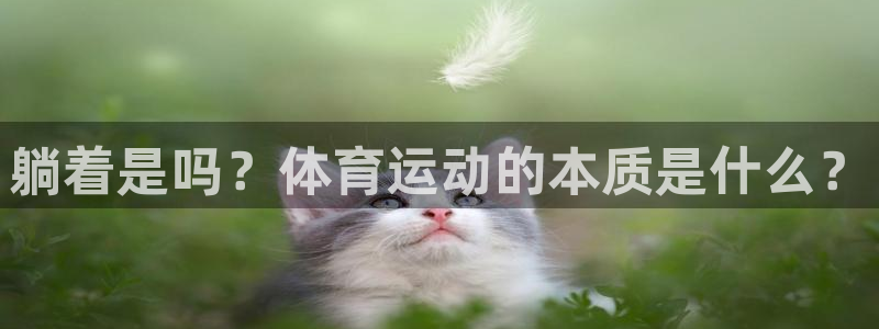 k1体育平台最新网站下载