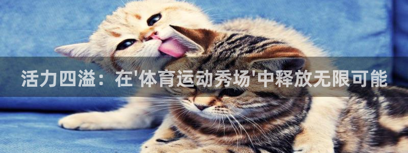 k1体育平台下载