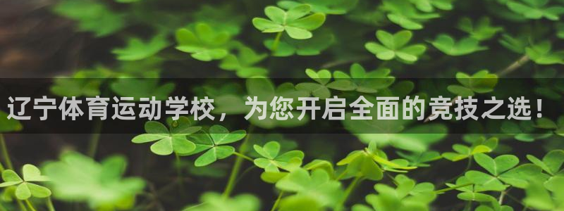 k1体育十年品牌