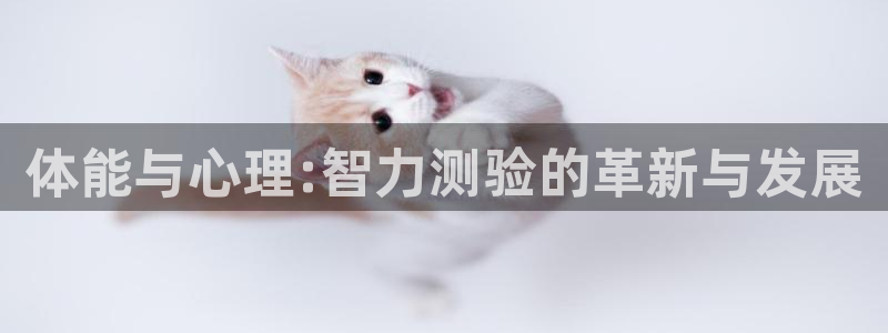 k1体育app官网登录入口