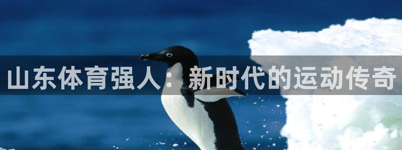 k1体育app下载链接