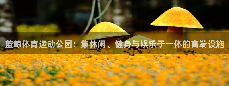 k1体育app官网登录入口