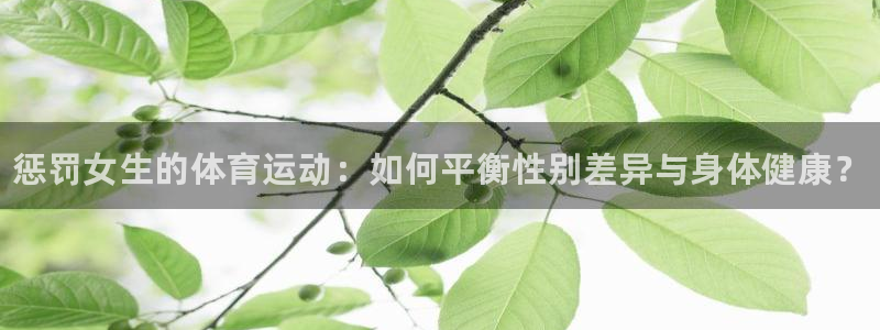 k1体育app下载链接
