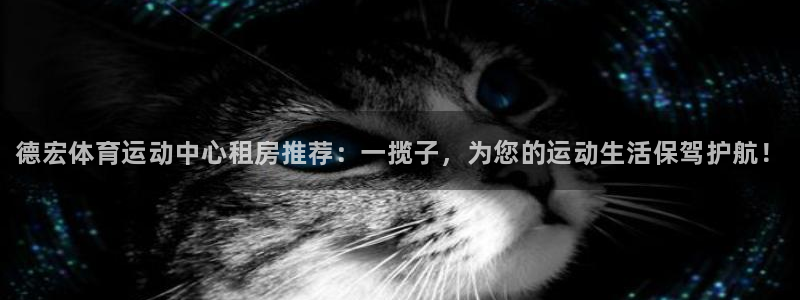 k1体育下载链接