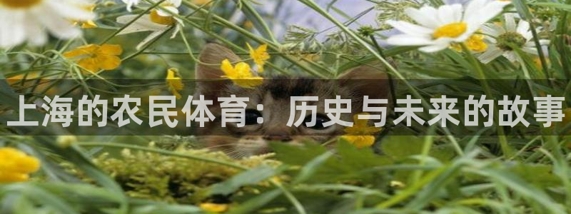 k1体育下载链接
