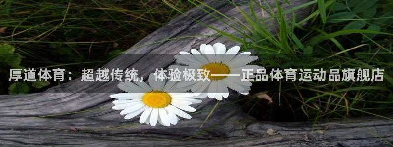 k1体育平台最新网站下载