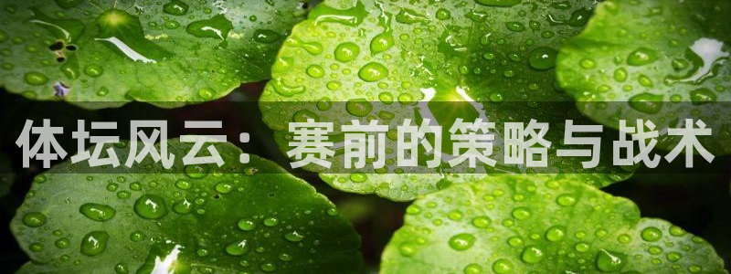 k1体育棋牌