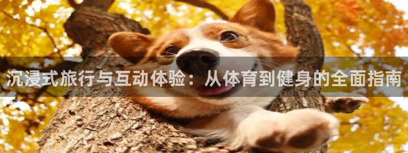 k1体育娱乐