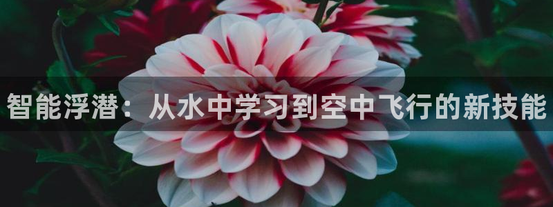 k1体育平台最新网站下载