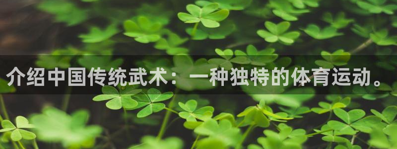 k1体育网站登录官网