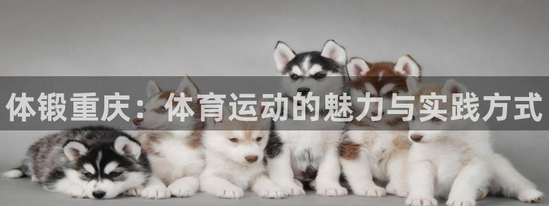 k1体育平台下载