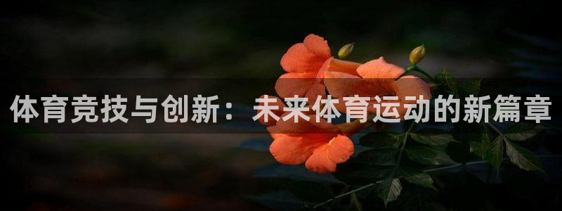 k1体育网址