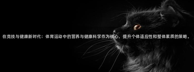 k1体育网址是多少