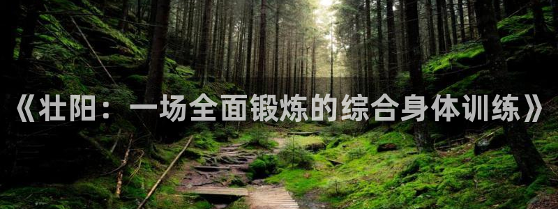 k1体育网址