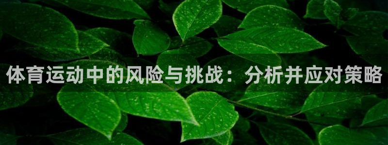 k1体育链接多少