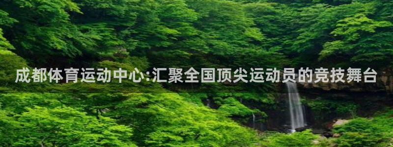 k1体育网址是多少