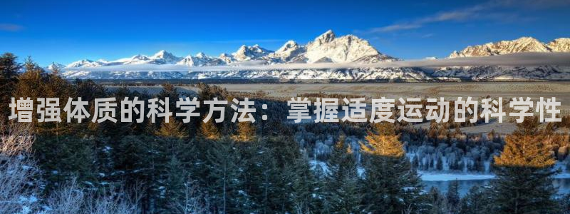 k1体育 十年品牌