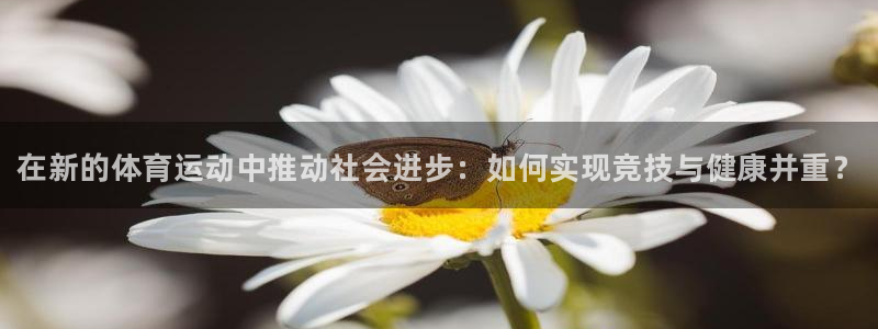 k1体育网址是多少