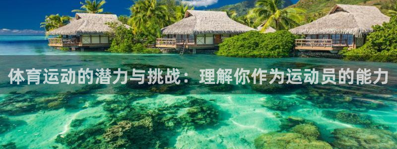 k1体育平台最新网站下载