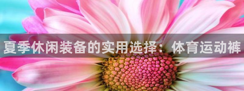 k1体育平台3915