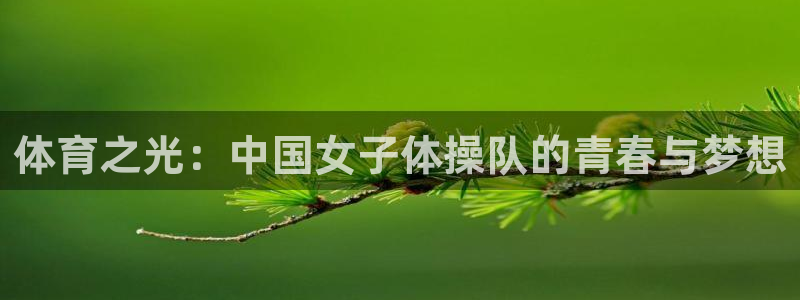 k1体育 十年品牌