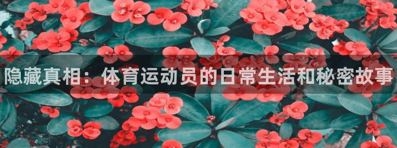 k1体育下载地址
