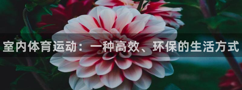 k1体育网址
