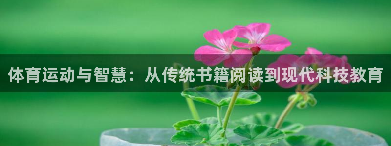 k1体育网址